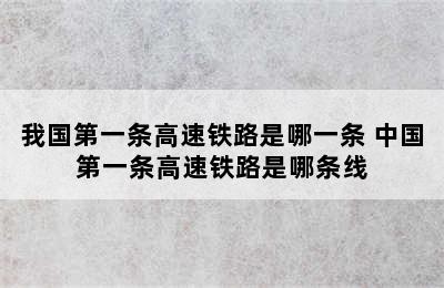 我国第一条高速铁路是哪一条 中国第一条高速铁路是哪条线